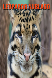 Leopardo nublado