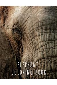 Elephant Coloring Book