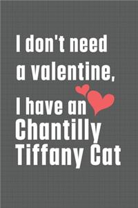 I don't need a valentine, I have a Chantilly Tiffany Cat