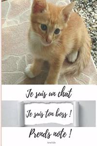 Je suis un chat Je suis ton boss ! Prends note !