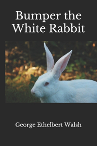 Bumper the White Rabbit(annotated)