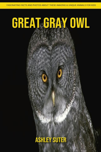 Great Gray Owl