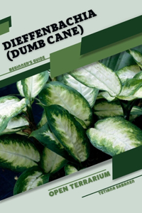 Dieffenbachia (Dumb Cane): Open terrarium, Beginner's Guide