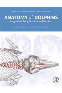 Anatomy of Dolphins