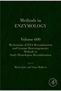 Mechanisms of DNA Recombination and Genome Rearrangements: Methods to Study Homologous Recombination: Volume 600