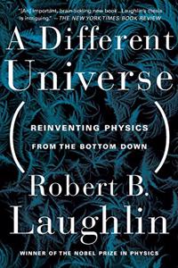 Different Universe: Reinventing Physics From the Bottom Down