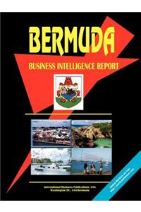 Bermuda Business Intelligence Report