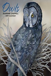 Owls Jeannine Chappell 2019 Wall Calendar