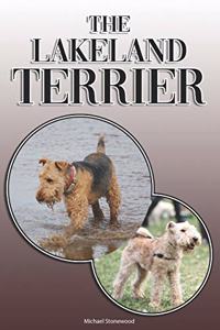Lakeland Terrier