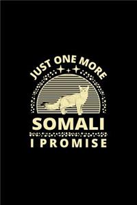 Just One More Somali I Promise