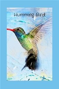 Humming Bird