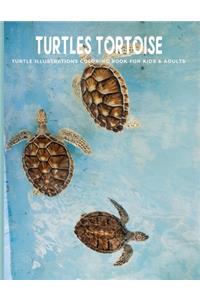 Turtles Tortoise Turtle Illustrations Coloring Book For Kids & Adults