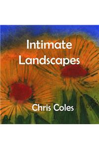 Intimate Landscapes