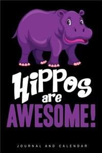 Hippos Are Awesome!