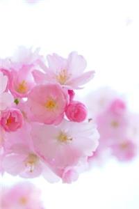 Cherry Blossom Journal