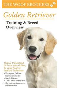 Golden Retriever Training & Breed Overview