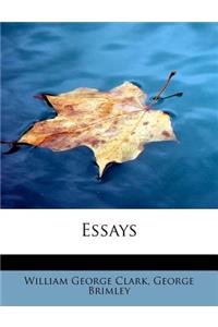 Essays