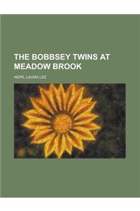 The Bobbsey Twins at Meadow Brook