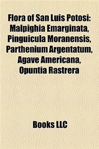 Flora of San Luis Potosi