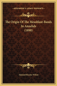 The Origin Of The Mesoblast-Bands In Annelids (1890)