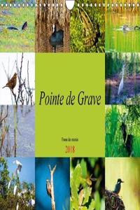 Pointe de Grave - Faune des marais 2018