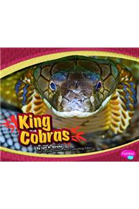 King Cobras