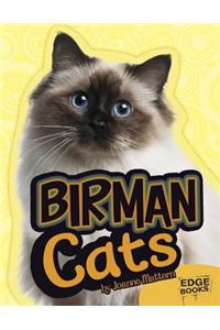 Birman Cats