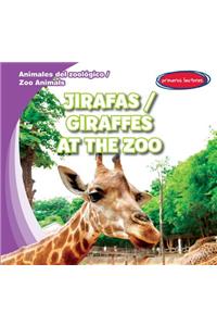 Jirafas / Giraffes at the Zoo