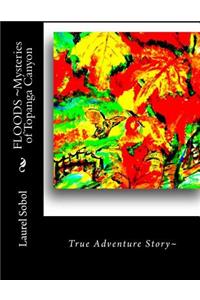 FLOODS Mysteries of Topanga Canyon
