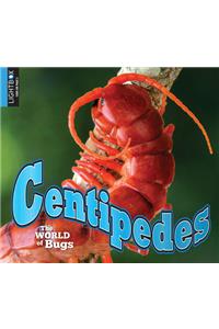 Centipedes