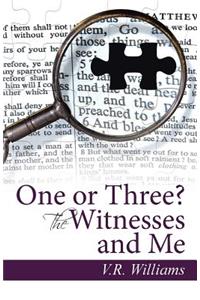 One or Three? The Witnesses and Me