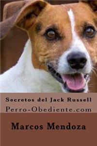 Secretos del Jack Russell