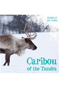 Caribou of the Tundra
