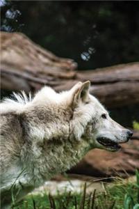 White Wolf Notebook