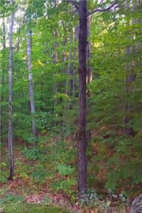 Journal Summer Woods