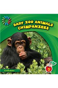 Chimpanzees