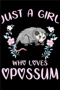 Just a Girl Who Loves Opossum