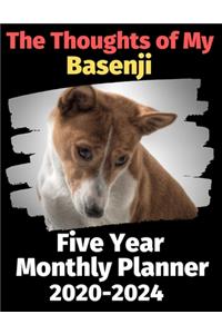The Thoughts of My Basenji