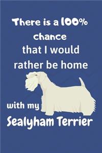 There is a 100% chance that I would rather be home with my Sealyham Terrier