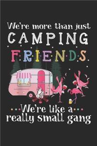 We're More Than Just Camping Friends we're like a really small gang