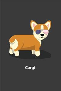 Corgi