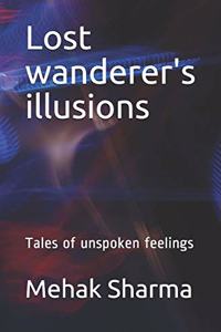 Lost wanderer's illusions