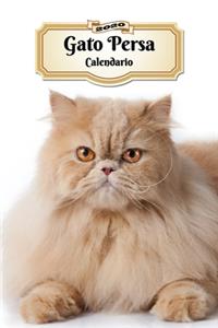 2020 Gato Persa Calendario