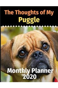 The Thoughts of My Puggle