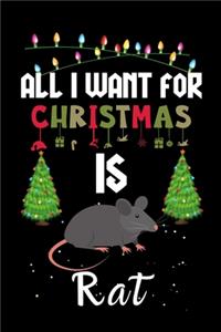 All I Want For Christmas Is Rat