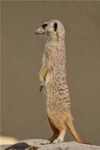 My Favorite Animal, Meerkat Journal