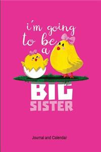 I'm Going To Be A Big Sister