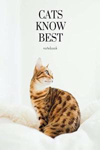 Cats know best