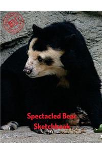 Spectacled Bear Sketchbook