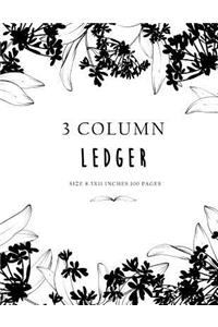 3 Column Ledger